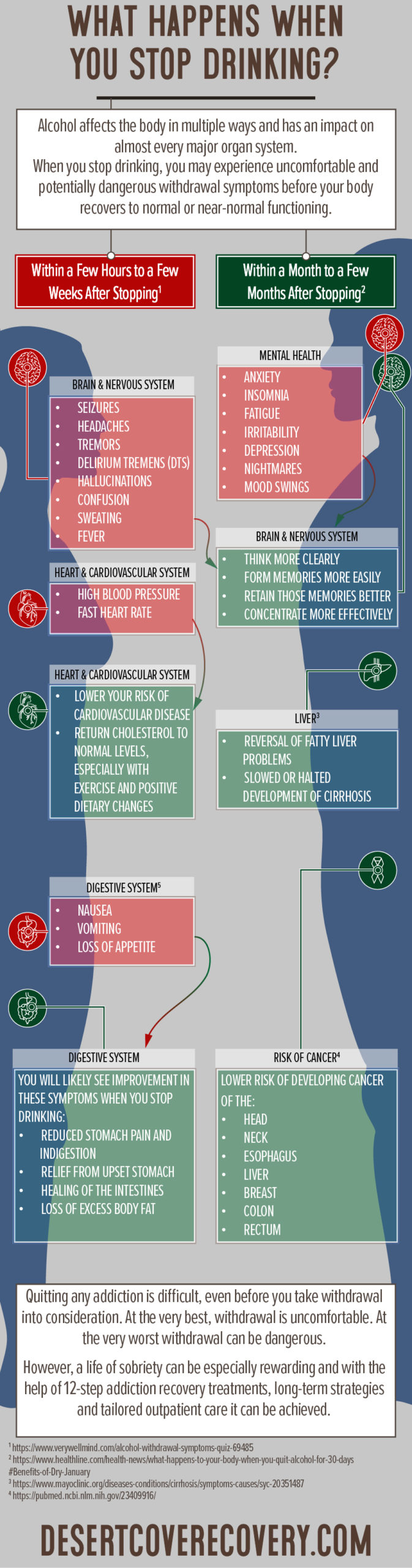 A Timeline of What Happens When You Stop Drinking