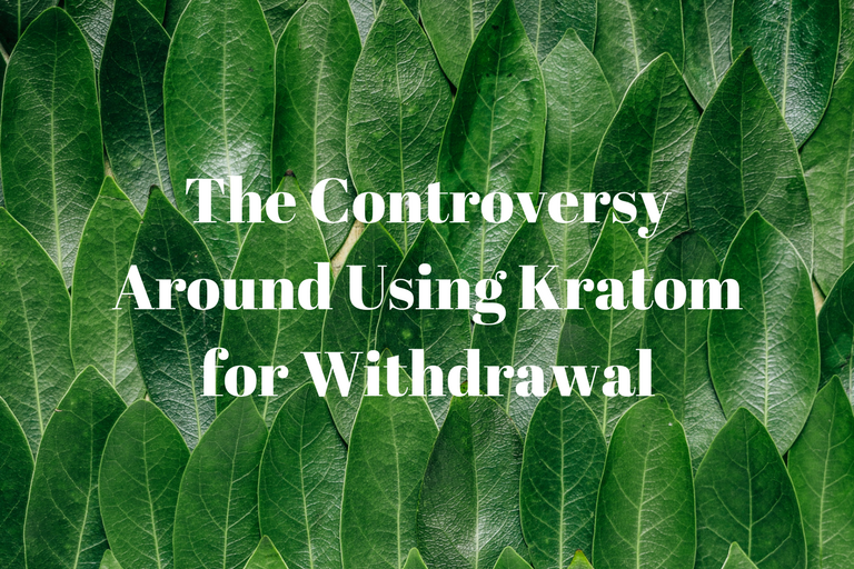 The Controversy Around Using Kratom for Withdrawal