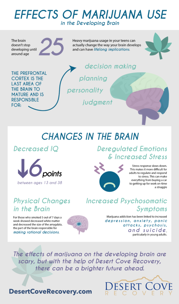 Effects of Marijuana Use in the Developing Brain - Desert Cove Recovery