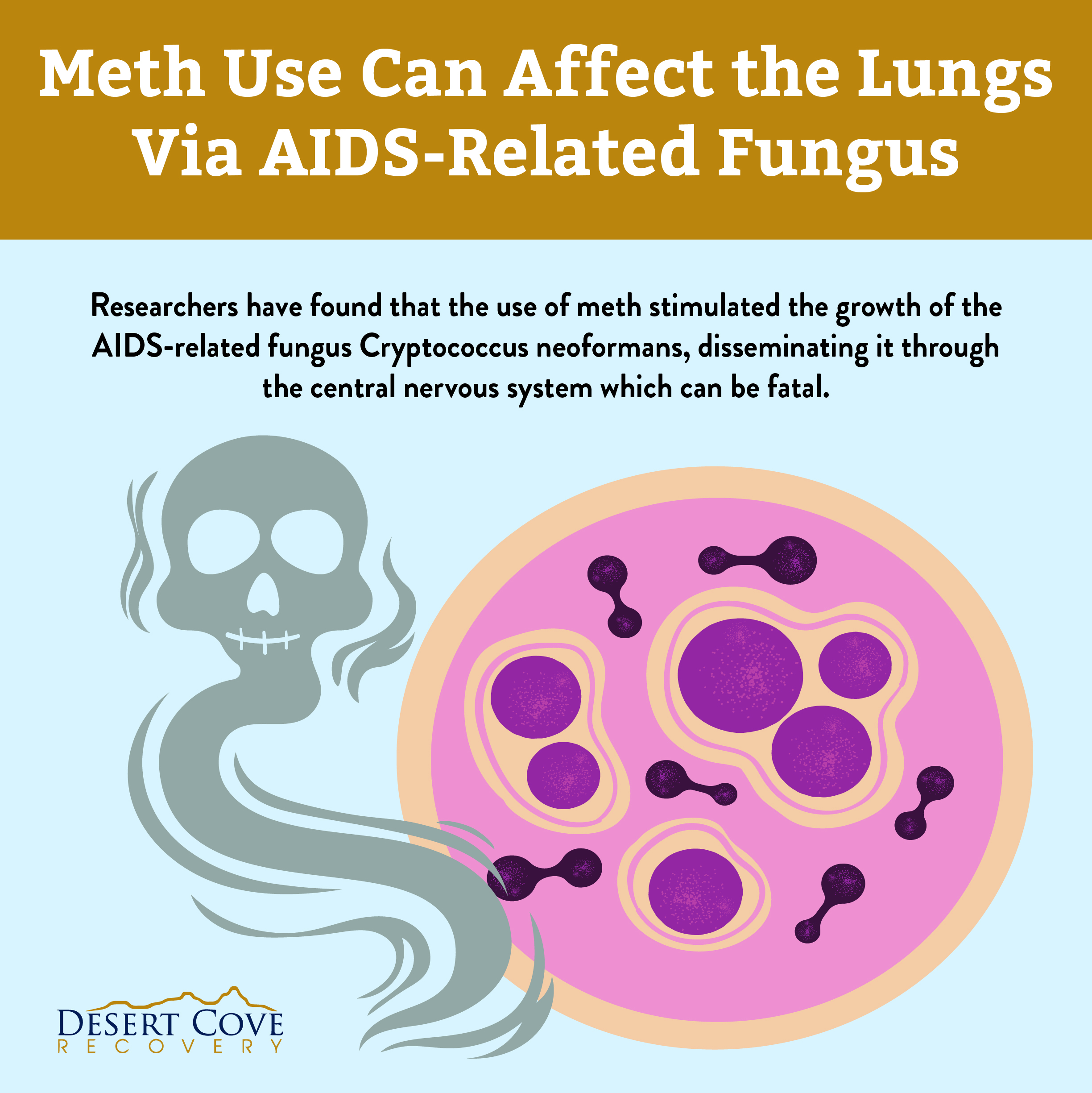 methamphetamine and AIDS related Fungus