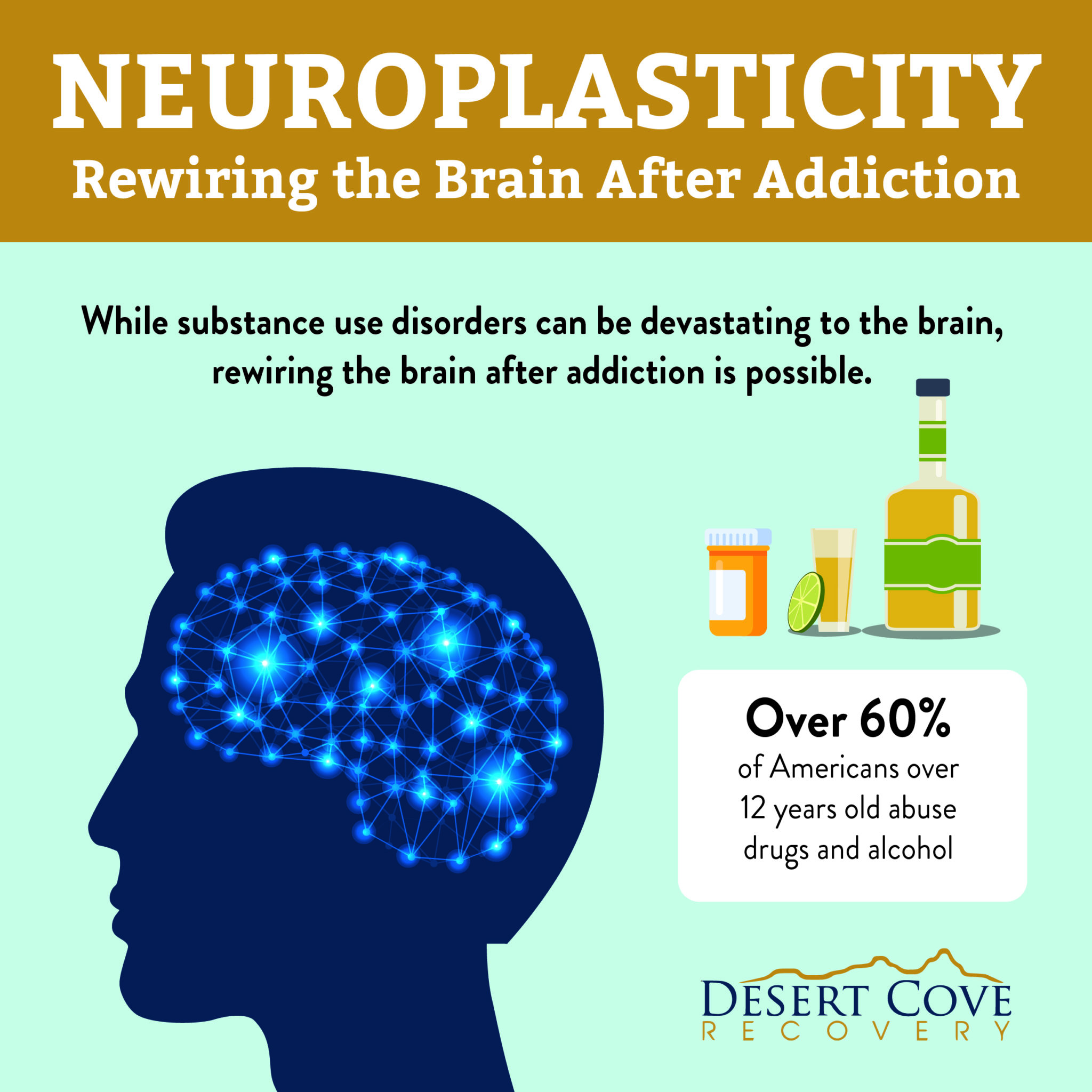 Neuroplasticity Rewiring The Brain After Addiction DCR