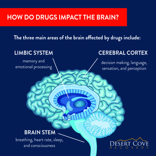 how do drugs impact the brain?