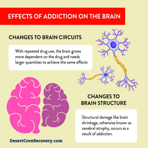 effects of addiction on the brain