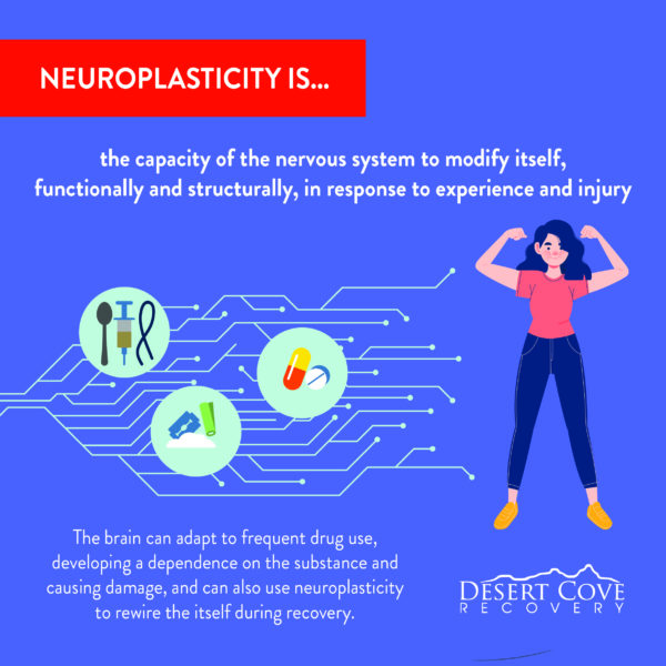 what is neuroplasticity and why does it help after addiction?