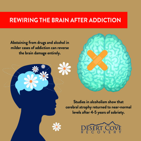 rewiring the brain after addiction
