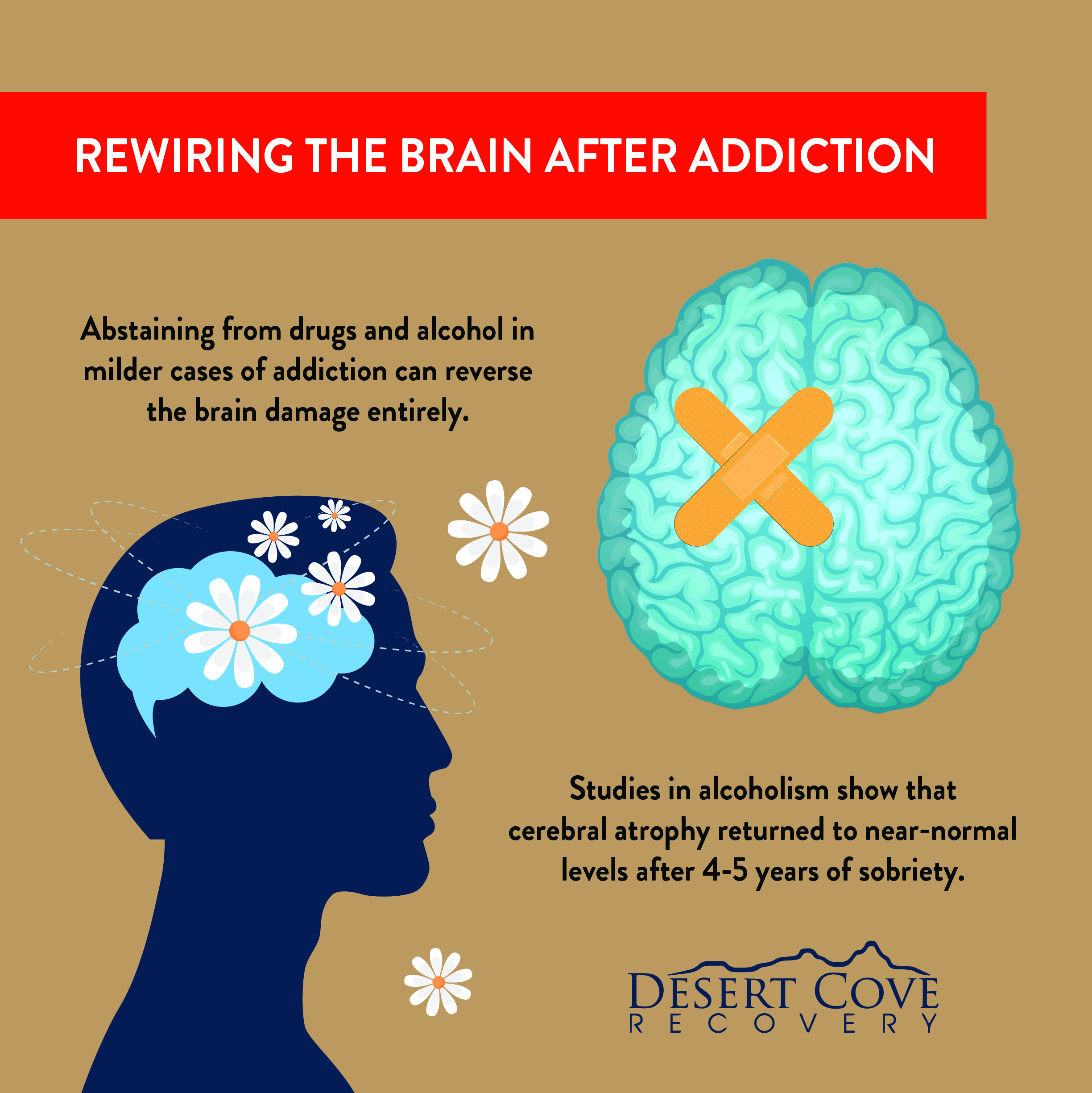 After brain. Rewire my Brain book. The Brain, Addiction, and withdrawal. Rewired: a Bold New approach to Addiction and Recovery Erica Spiegelman.