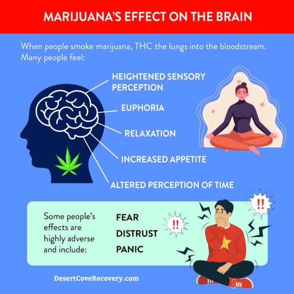 marijuana's effects on the brain