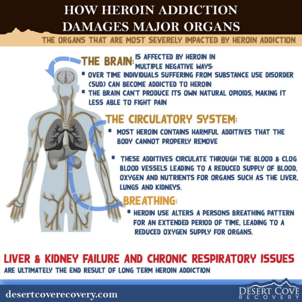 The Organs Most Severely Impacted by Heroin Addiction