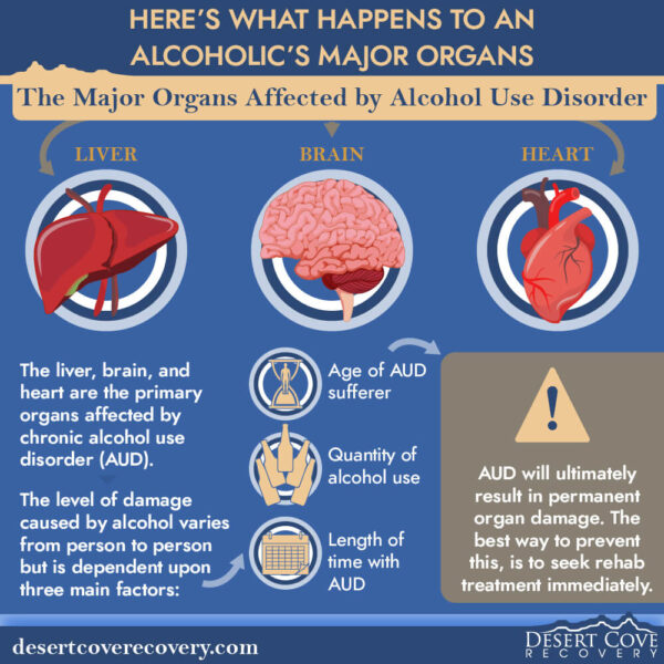 the major organs affected by alcohol use disorder