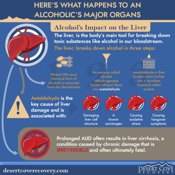 the impact of alcohol on the liver