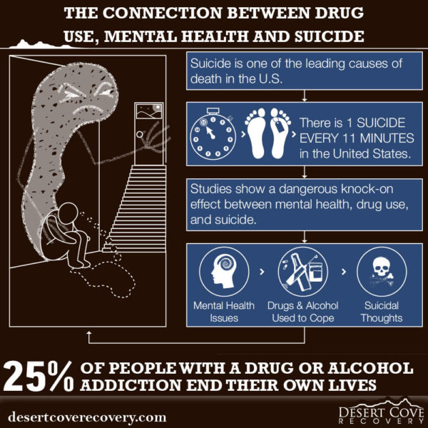 The Connection Between Drug Use Mental Health and Suicide 1