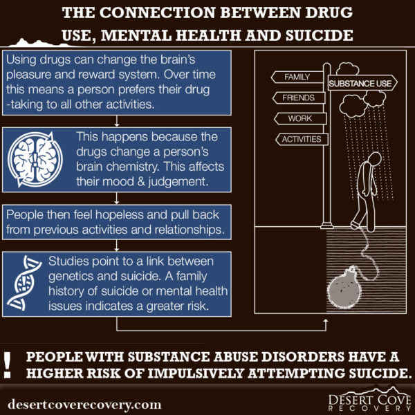 The Connection Between Drug Use Mental Health and Suicide 2