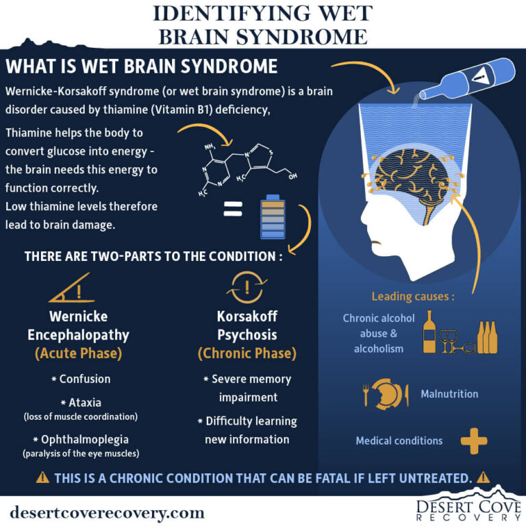 Identifying Wet Brain Syndrome from Alcohol | Desert Cove Blog