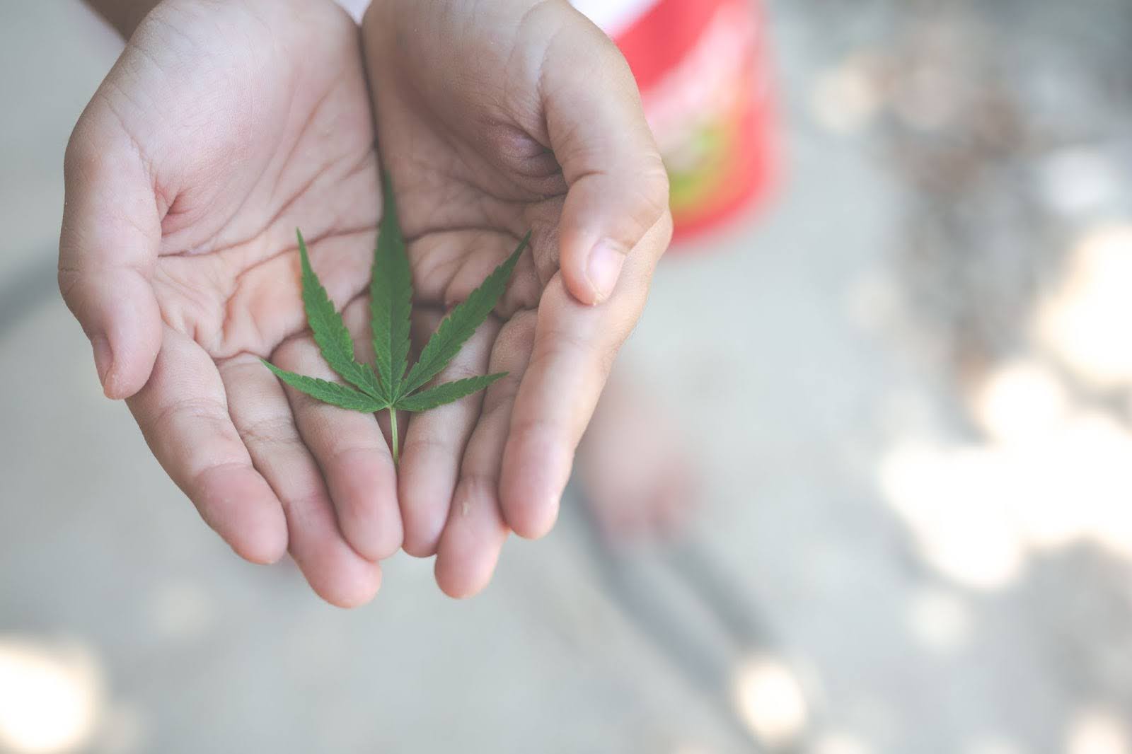 Is Marijuana a Gateway Drug? Understanding Its Role in Addiction