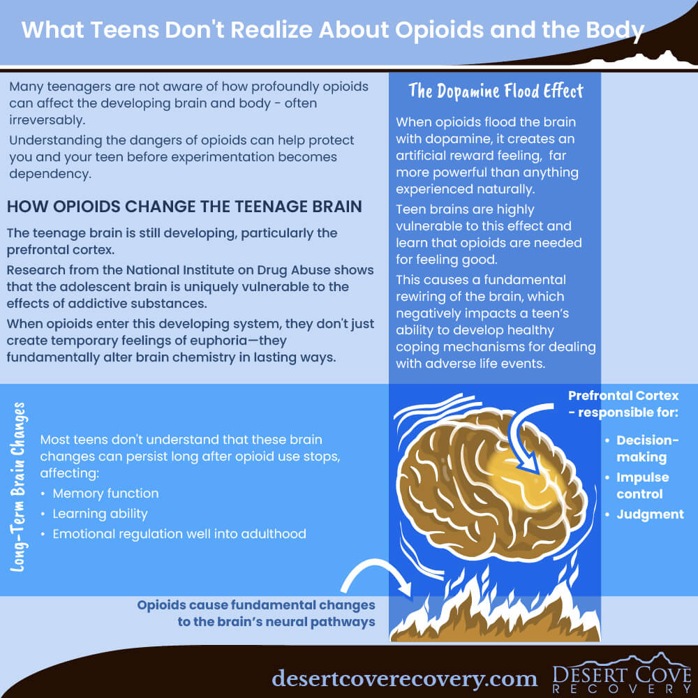 How Opioids Change the Teenage Brain How Opioids Change the Teenage Brain